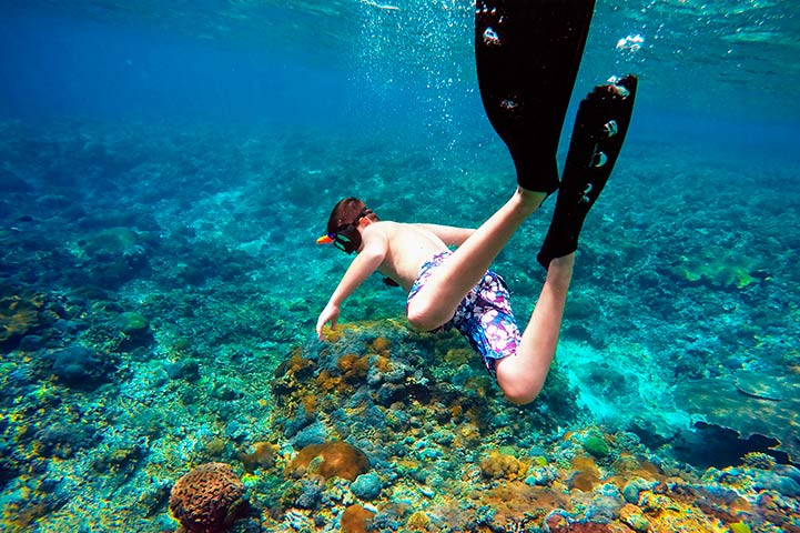 Diving e Snorkeling